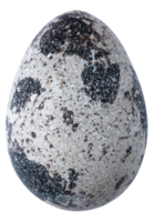 codorniz huevos aislado para diseño png