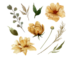 Watercolor golden flowers and leaves individual element illustration png