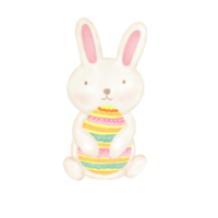 lapin de pâques avec des oeufs de pâques png