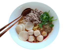 tom yum Macarrão, picante e azedo gosto popular dentro tailândia. em uma transparente fundo png