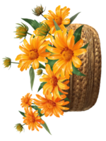 ramo de flores de ásteres en un cesta ilustración png