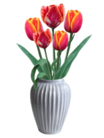 red tulips in a vase illustration png