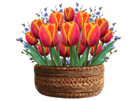 tulpaner och cikoria i en blomkruka illustration png