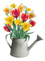 daffodils and tulips in a flowerpot illustration png