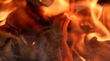 surpreendente processo do queimando seco folhas video