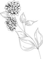 Flowers drawing with line-art on white backgrounds vector