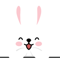 Easter Bunny Illustration png