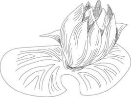 Hand drawn orchid flowers vector illustration. Hand drawn flower.