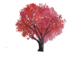 acquerello albero autunno stagione. rosso foglia.png sfondo. png