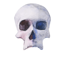 watercolor painting hand drawn skull abstract png. png