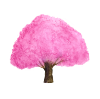 Aquarell Gemälde Rosa Baum Kirsche blühen oder Sakura abstrakt png Weiß hintergrund.hand gezeichnet png.