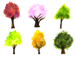 watercolor painting set tree. png white background.