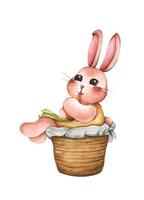 Cute bunny for spring season. Easter rabbit. Watercolor illustration. Rabbit cartoon. Animal wildlife character. vector