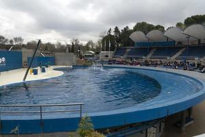 MADRID, SPAIN - APRIL 1 2019 - The dolphin show at aquarium zoo photo