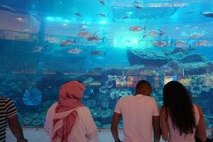 DUBAI, UAE - AUGUST 14 2017 - People visiting Mall Aquarium photo