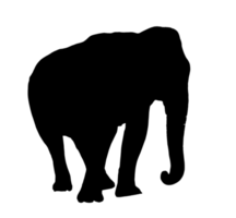 silueta elefante png transparente