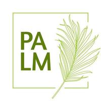 line art palm branch illustration for palm sunday design vector