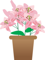 Pink lily on vase for Easter. png