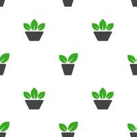 Plants in pots, seamless pattern, vector. vector