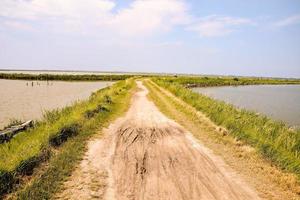 Road in the countryside photo