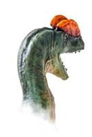 The head of  Dilophosaurus , dinosaur on  isolated background  . photo