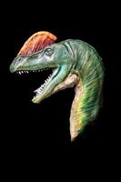 el cabeza de dilophosaurus en el oscuro , dinosaurio en negro antecedentes foto
