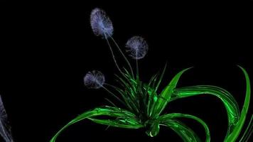 Dandelion Seeds Botanical 3D Rendering photo