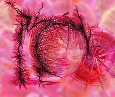 fondo de efecto líquido rosa abstracto foto