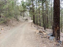 Road in the countryside photo