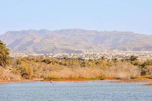 Scenic coastal view photo