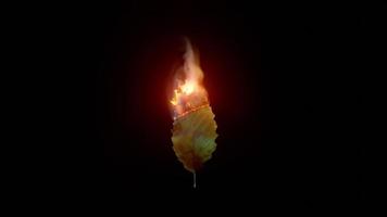 Leaf on fire and smoke. A seamless loop concept for deforestation, global warming and wildfire. video