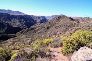 Rocky landscape in summer photo