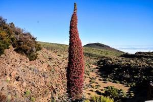 Landscape on Tenerife, Spain photo