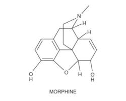 Morphine chemical molecular structure icon. Medical opioid drug formula. Alkaloid with analgesic painkiller effect vector