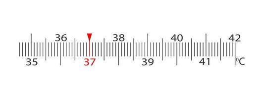 Horizontal scale of body thermometer with temperature marking in Celsius from 35 to 42 degrees. Simple template for medical measuring tool vector