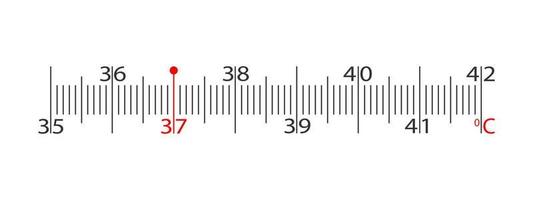 cuerpo termómetro horizontal escala con temperatura lecturas en Celsius. sencillo modelo para médico medición herramienta vector