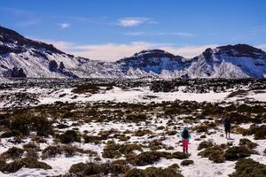 Snowy winter landscape photo