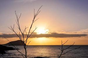 Sunset over the sea photo