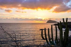 Sunset over the sea photo