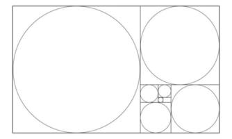 dorado proporción modelo. círculos en cuadrícula en rectángulo marco. fibonacci secuencia. ideal simetría dimensiones cuadrícula vector