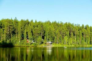 bosque en Suecia foto