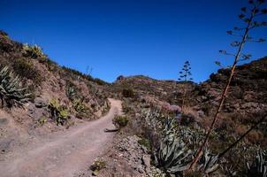 Scenic landscape on Tenerife, Canary Islands, Spain photo