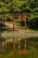 tori portón en Japón foto