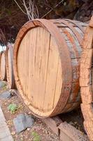 Barrels of wine photo