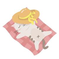 un linda y kawaii gato dormido en blanco antecedentes para niños Moda obras de arte, niños libros, cumpleaños invitaciones, saludo tarjetas, carteles vector