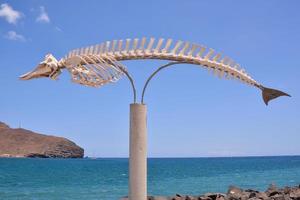 Whale skeleton sculpture - Spain 2022 photo