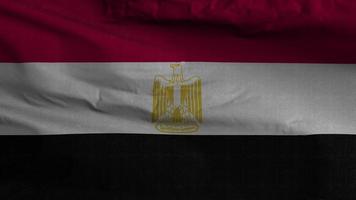 Ägypten Flagge Schleife Hintergrund 4k video