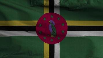 Dominica Flagge Schleife Hintergrund 4k video