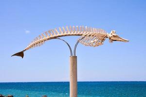 Whale skeleton sculpture - Spain 2022 photo
