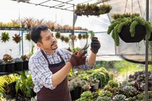 asiático jardinero es trabajando dentro el invernadero lleno de suculento plantas colección mientras propagador por hoja corte método para ornamental jardín y ocio pasatiempo concepto foto